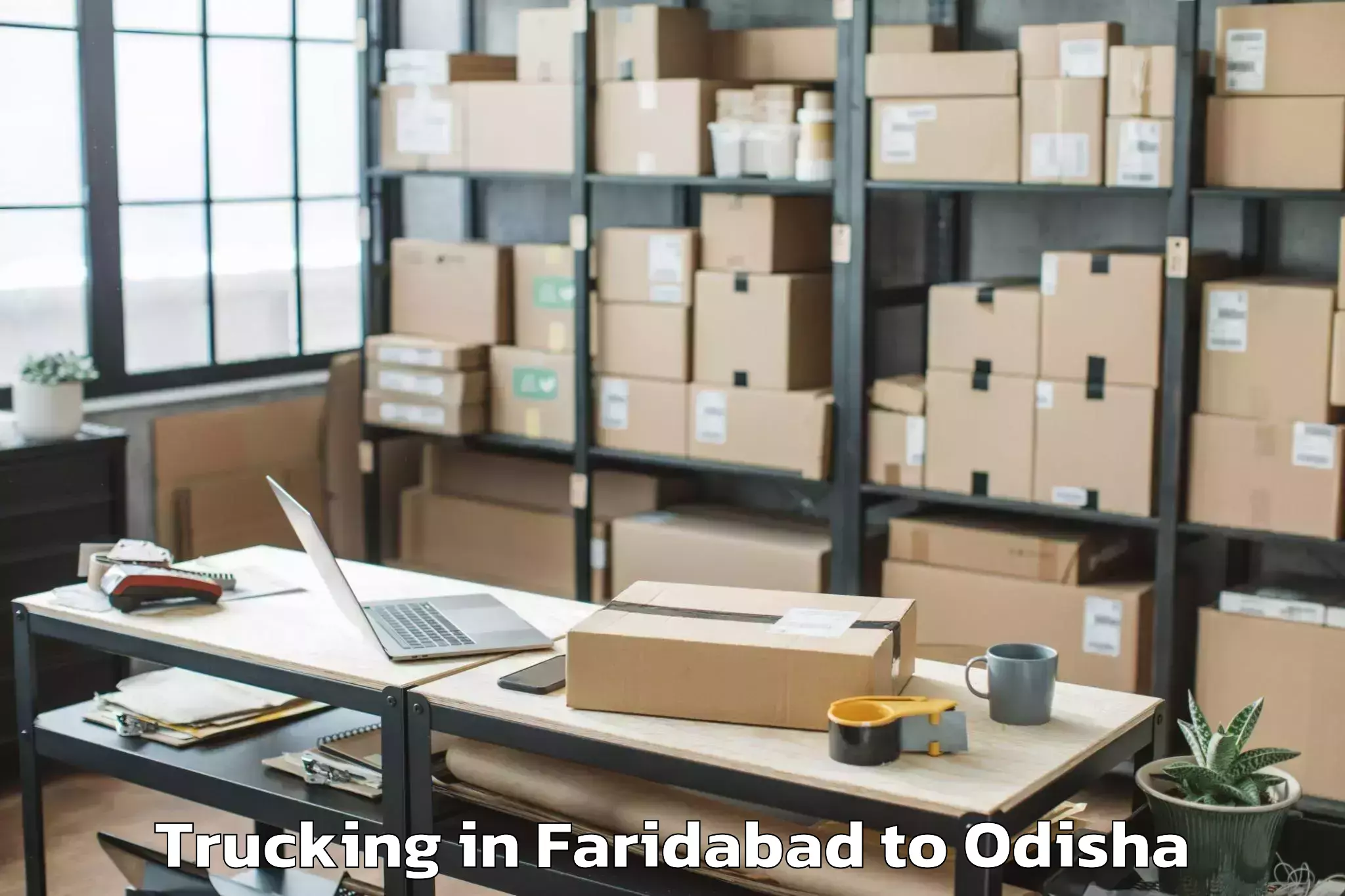 Book Faridabad to Baudh Trucking Online